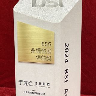 BSI Sustainability Excellence Award